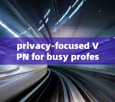 privacy-focused VPN for busy professionals
