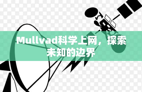 Mullvad科学上网,探索未知的边界 Mullvad科学上网,探索未知的边界