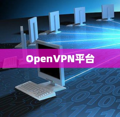 OpenVPN平台