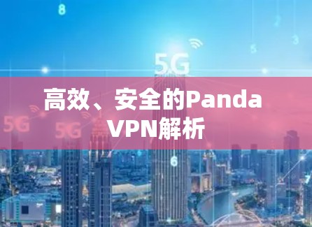 高效、安全的Panda VPN解析