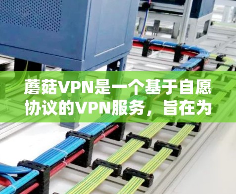 蘑菇VPN是一个基于自愿协议的VPN服务，旨在为用户提供VPN访问。然而，蘑菇VPN的高速节点可能已经不再可用，或者可能已经被封禁
