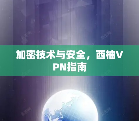 加密技术与安全，西柚VPN指南