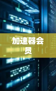 加速器会员 加速器会员