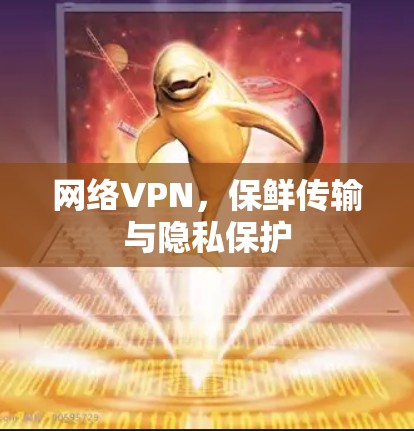 网络VPN,保鲜传输与隐私保护 网络VPN,保鲜传输与隐私保护