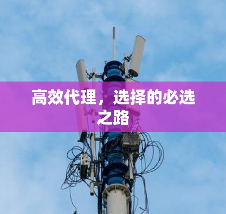 高效代理,选择的必选之路 高效代理,选择的必选之路