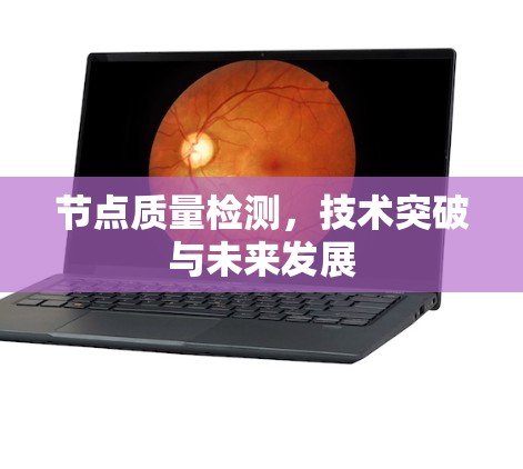 节点质量检测，技术突破与未来发展