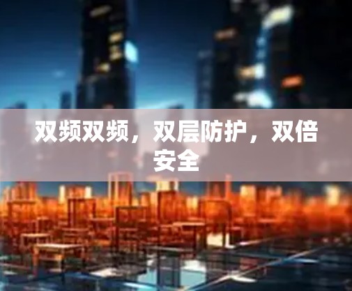 双频双频，双层防护，双倍安全