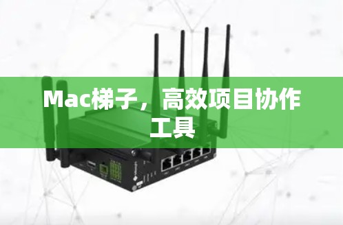 Mac梯子，高效项目协作工具