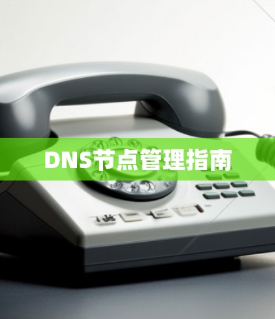 DNS节点管理指南