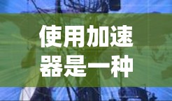使用加速器是一种有效的方法来优化计算机程序性能，帮助你在更快的时间内完成任务。以下是一个系统化的步骤指南，帮助你有效地使用加速器