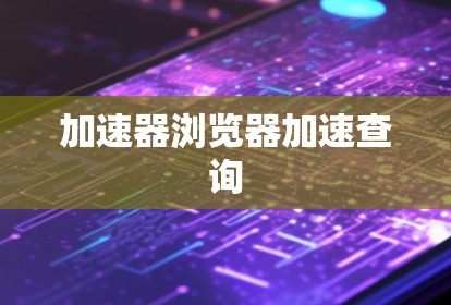 加速器浏览器加速查询