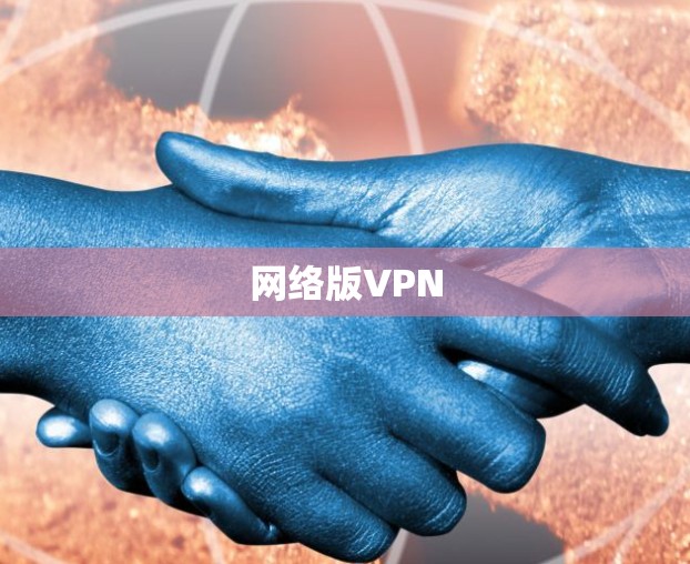 网络版VPN 网络版VPN