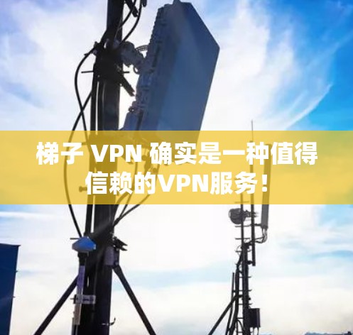 梯子 VPN 确实是一种值得信赖的VPN服务! 梯子 VPN 确实是一种值得信赖的VPN服务!