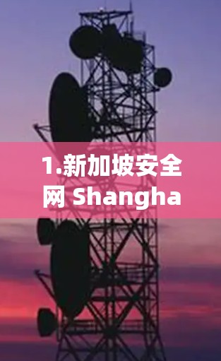 1.新加坡安全网 Shanghai Cloud Security)